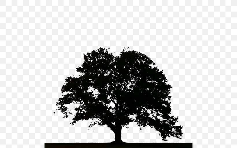 Tree Stump Stump Grinder Snag Arborist, PNG, 512x512px, Tree, Arborist, Arecaceae, Black And White, Branch Download Free