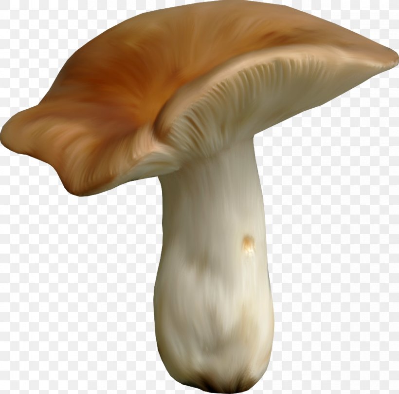 Clip Art, PNG, 1192x1176px, Mushroom, Agaricaceae, Computer Software, Coreldraw, Digital Image Download Free