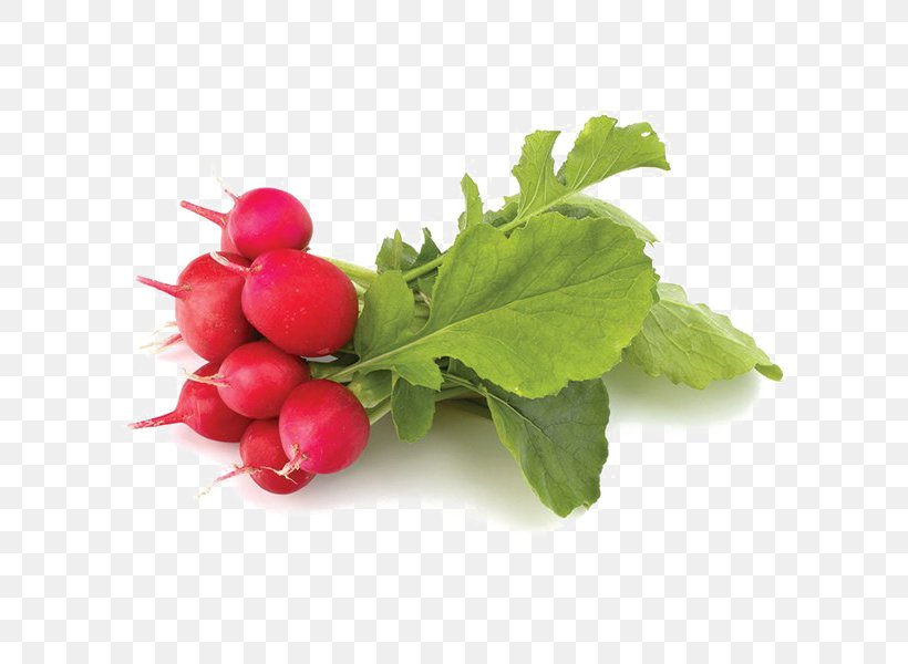 Food Vegetable Raphanus Raphanistrum Subsp. Sativus Turnip Cranberry, PNG, 600x600px, Food, Beet, Beetroot, Beetroots, Berry Download Free
