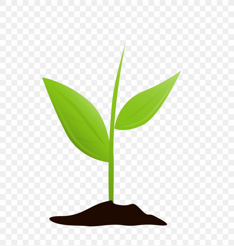 Leaf Plant Stem Baptists Queensland, PNG, 3000x3154px, Leaf, Apple, Baptists, Calendar, Church Planting Download Free
