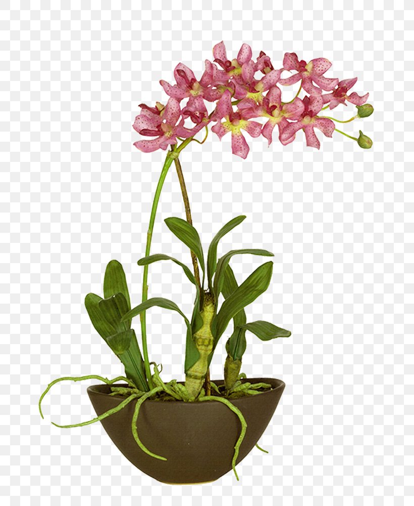 Moth Orchids Landscape, PNG, 750x1000px, Moth Orchids, Aphid, Cut Flowers, Dendrobium, Designer Download Free
