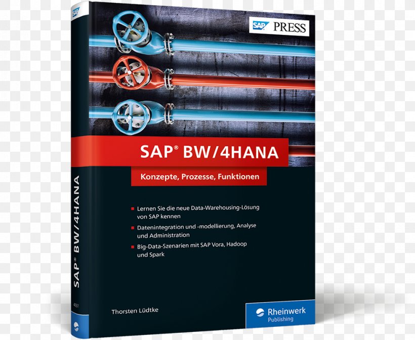 SAP® BW/4HANA: Das Neue SAP Business Warehouse (BW) SAP S/4HANA SAP BW/4HANA SAP NetWeaver Business Warehouse SAP HANA, PNG, 976x800px, Sap S4hana, Abap, Advertising, Book, Brand Download Free
