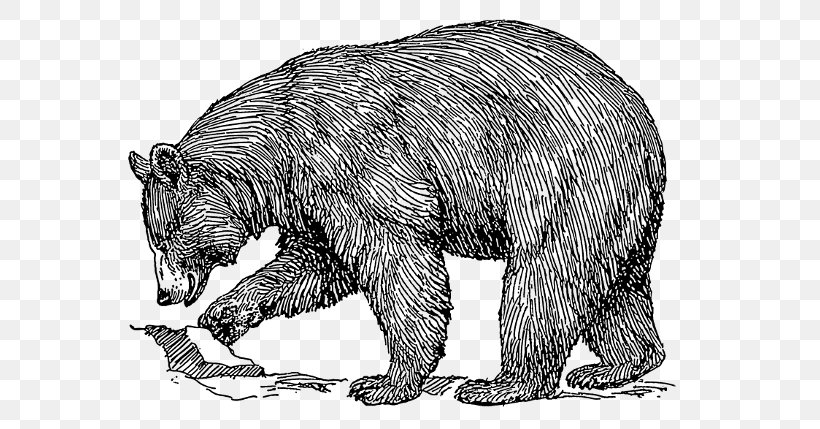 American Black Bear Polar Bear Brown Bear Clip Art, PNG, 600x429px, American Black Bear, Bear, Bear Hunting, Black And White, Brown Bear Download Free