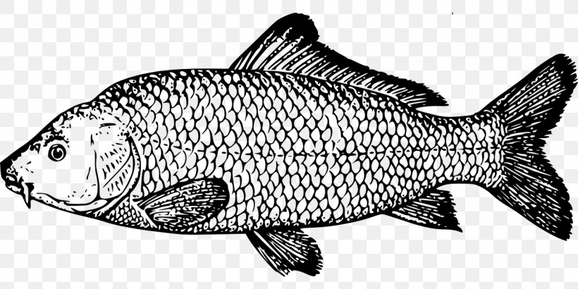 Carp Fishing Clip Art, PNG, 1280x640px, Carp, Animal Figure, Artwork, Black And White, Carp Fishing Download Free