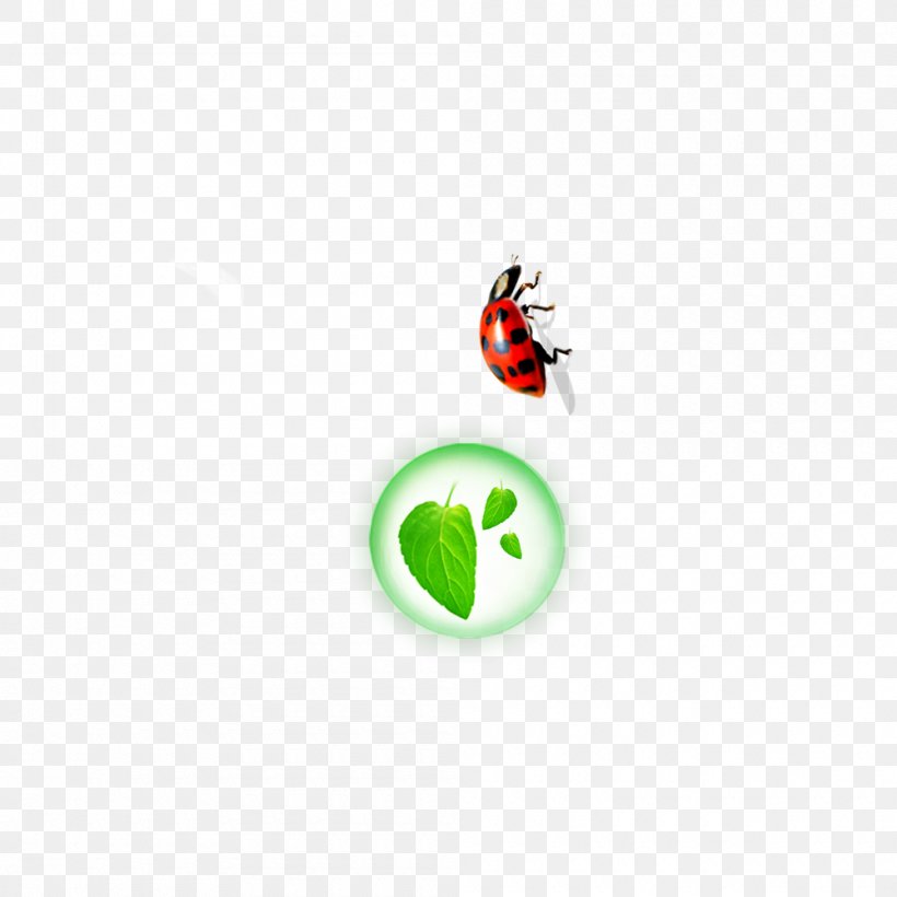 Insect Leaf Euclidean Vector Icon, PNG, 1000x1000px, Insect, Flying And Gliding Animals, Green, Invertebrate, Leaf Download Free