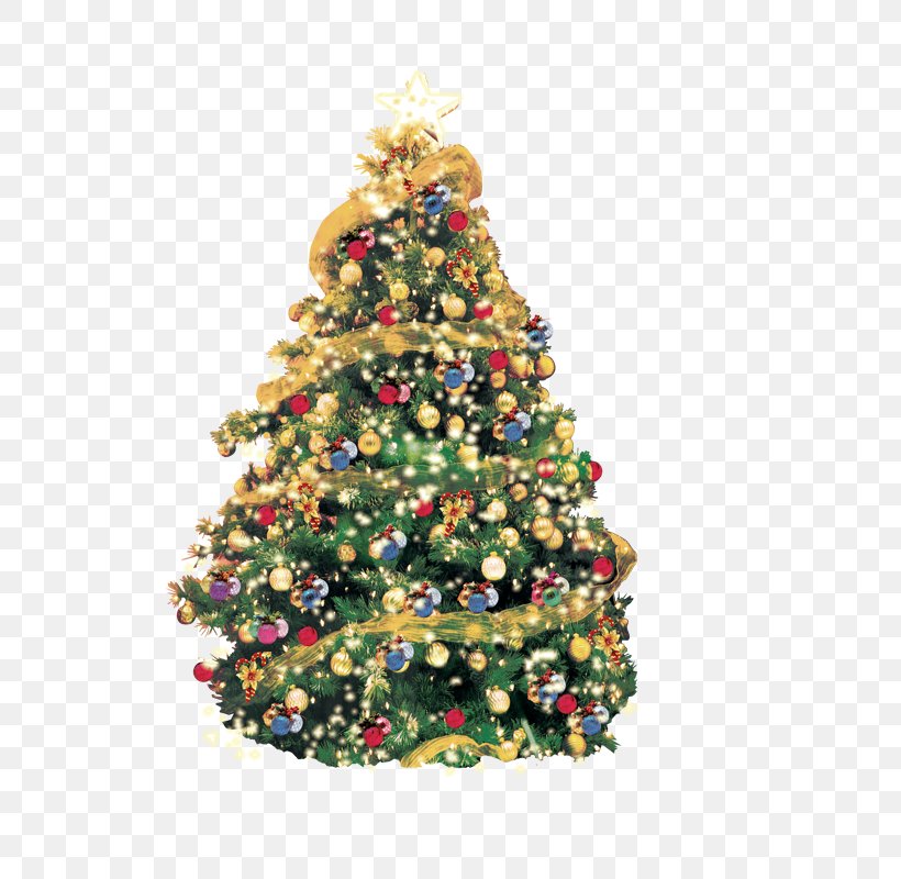 Artificial Christmas Tree Greeting Christmas Card, PNG, 800x800px, Christmas, Artificial Christmas Tree, Christmas Card, Christmas Decoration, Christmas Ornament Download Free