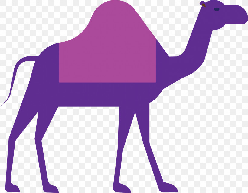 Camel Ramadan Arabic Culture, PNG, 3000x2345px, Camel, Arabian Camel, Arabic Culture, Camelid, Purple Download Free