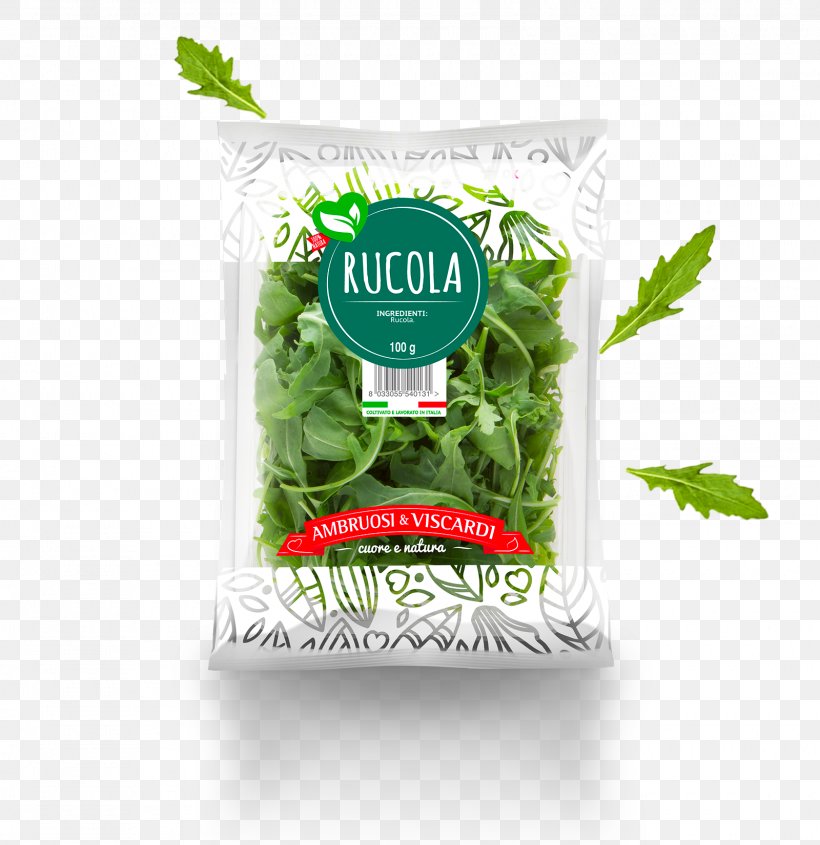 Leaf Vegetable Arugula Herb Salad, PNG, 1600x1650px, Leaf Vegetable, Arugula, Cuisine, Herb, Herbal Download Free