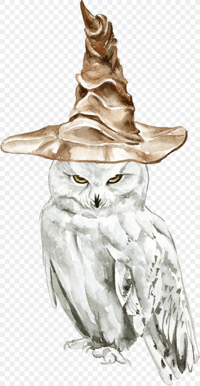 Owl Drawing Illustration Harry Potter Sketch, PNG, 1204x2320px, Owl, Art, Barn Owl, Beak, Bird Download Free