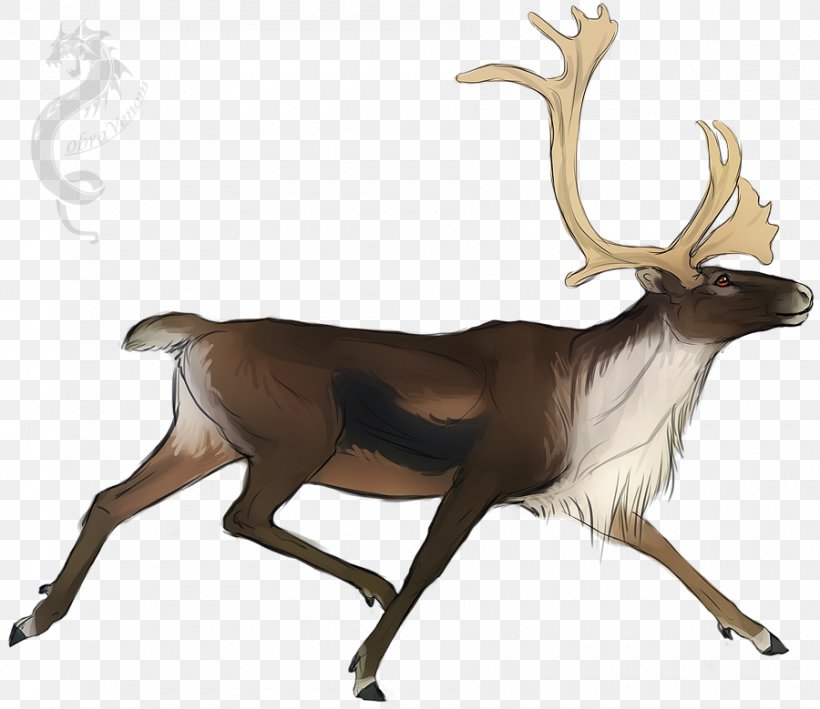 Reindeer DeviantArt Drawing Sketch, PNG, 900x779px, Reindeer, Antler, Art, Commission, Concept Art Download Free