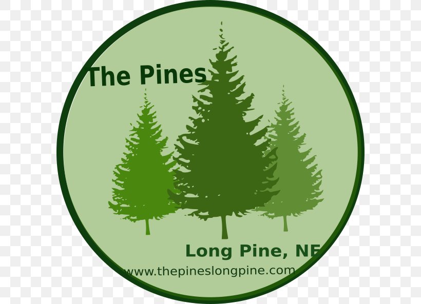 Pine Fir Clip Art Evergreen Conifers, PNG, 600x593px, Pine, Cedar, Christmas, Christmas Decoration, Christmas Ornament Download Free