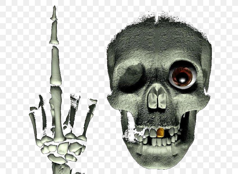 Skull Skeleton Photography Jaw, PNG, 800x600px, Skull, Albom, Bone, Gothic Art, Head Download Free