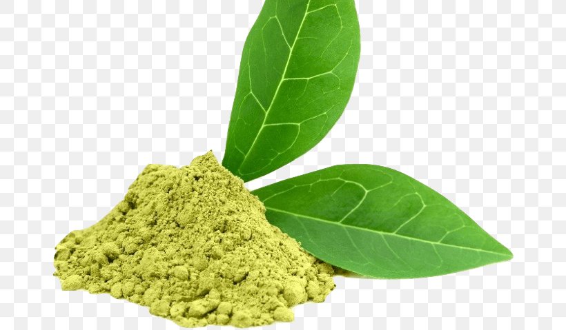 Green Tea Dietary Supplement Epigallocatechin Gallate Extract, PNG, 677x479px, Green Tea, Antioxidant, Black Tea, Catechin, Dietary Supplement Download Free