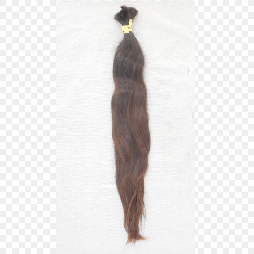 Homo Sapiens Wig, PNG, 3864x3864px, Homo Sapiens, Brown Hair, Human, Long Hair, Tail Download Free