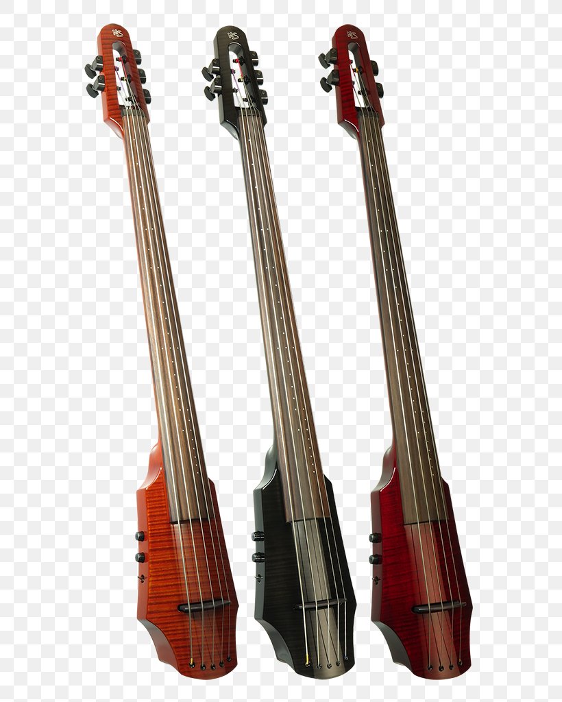 Violone Cello Violin Double Bass Viola, PNG, 652x1024px, Violone, Bass, Bass Guitar, Bowed String Instrument, Cellist Download Free
