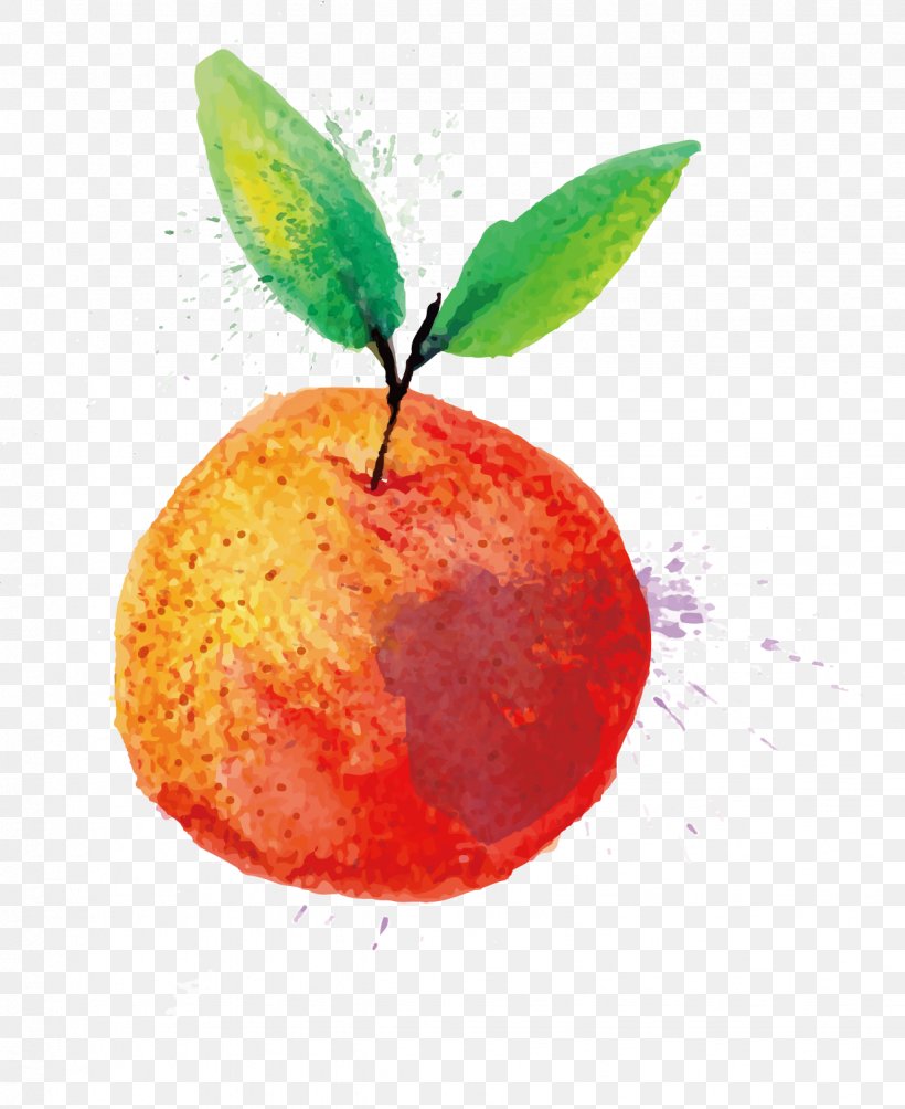 Watercolor Painting Fruit, PNG, 1234x1511px, Watercolor Painting, Apple, Color, Drawing, Food Download Free