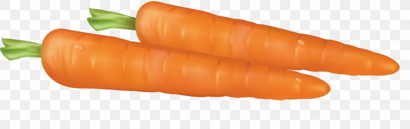Baby Carrot Bockwurst Knackwurst, PNG, 3652x1151px, Baby Carrot, Bockwurst, Carrot, Cervelat, Finger Download Free