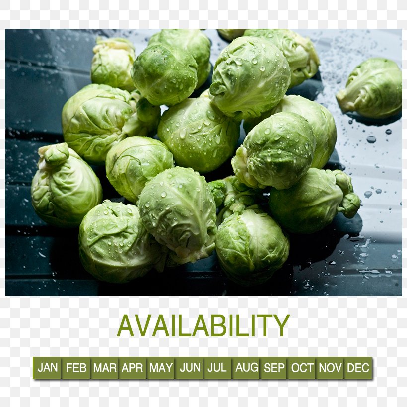 Brussels Sprout Capitata Group Food Vegetable Cauliflower, PNG, 800x820px, Brussels Sprout, Brassica Oleracea, Broccoli, Cabbage, Capitata Group Download Free