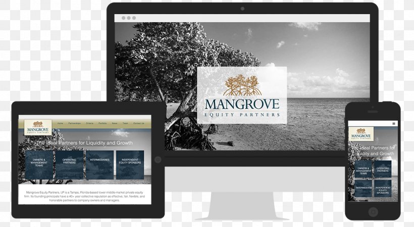 Mangrove Information Poster, PNG, 1024x563px, Mangrove, Advertising, Brand, Communication, Dead Snow Download Free