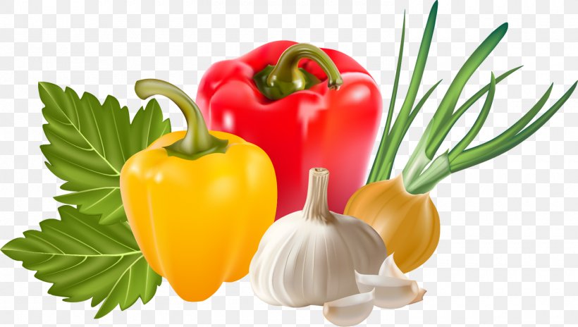 Vegetable Garlic Capsicum Annuum, PNG, 1500x850px, Vegetable, Bell Pepper, Bell Peppers And Chili Peppers, Capsicum Annuum, Chili Pepper Download Free
