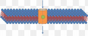 Angle - Angle Micelle PNG