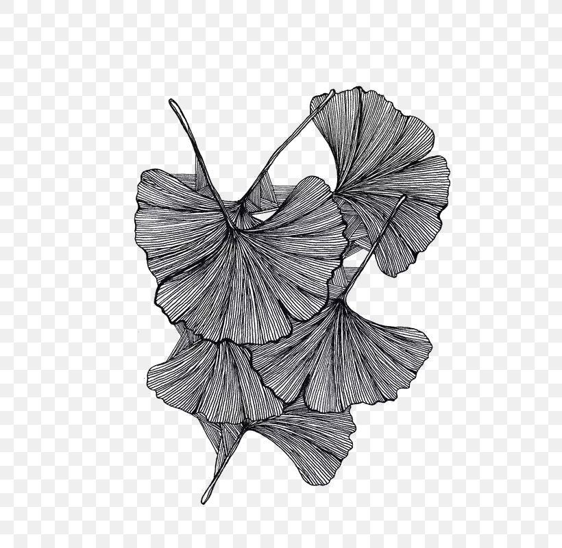 Black And White Drawing Painting, PNG, 565x800px, Black And White, Art, Black, Butterfly, Creative Work Download Free