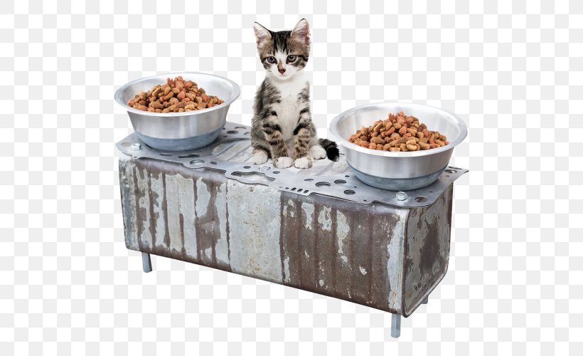 Cat Head Gasket Cylinder Head Dog, PNG, 500x500px, Cat, Animal, Bowl, Cat Like Mammal, Cat Meat Download Free