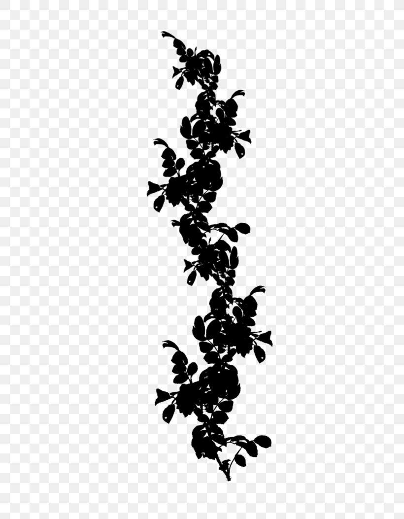 Grape Font Line Leaf Black M, PNG, 758x1053px, Grape, Black M, Branch, Flower, Leaf Download Free