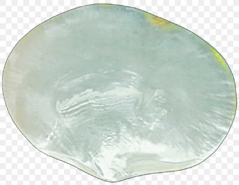 Nacre Pearl Glass Seashell, PNG, 1015x787px, Nacre, Deviantart, Dishware, Glass, Mother Download Free