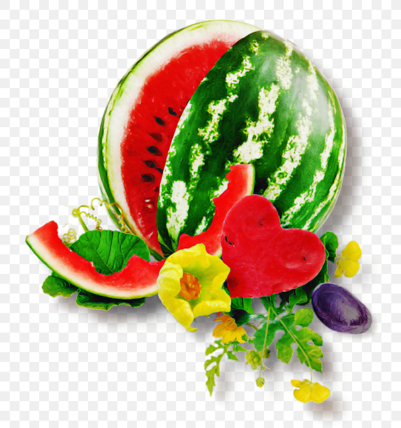 Fruit Tree, PNG, 800x875px, Cantaloupe, Berry, Canary Melon, Cucumber, Cucurbits Download Free