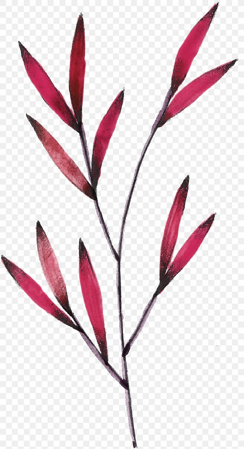 Leaf Red, PNG, 1088x2002px, Leaf, Branch, Flower, Petal, Pixel Download Free