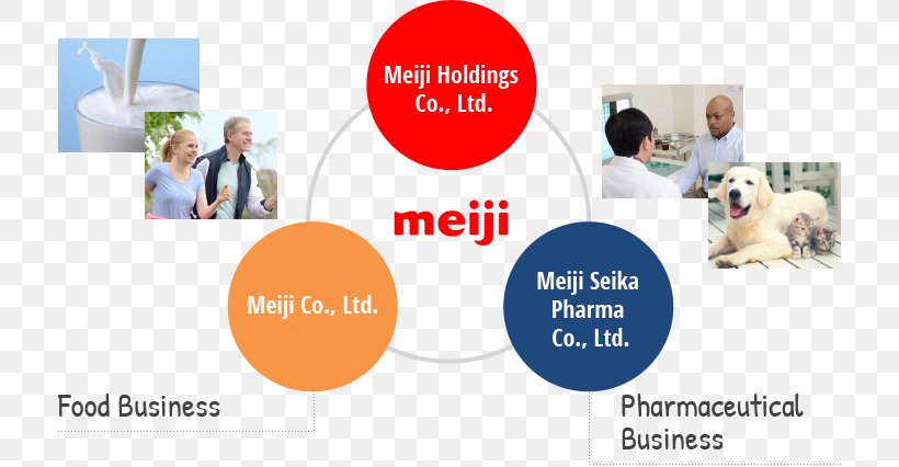 Meiji Period Meiji Holdings Co., Ltd. Meiji Seika Meiji Dairies Business, PNG, 714x426px, Meiji Period, Advertising, Brand, Business, Communication Download Free