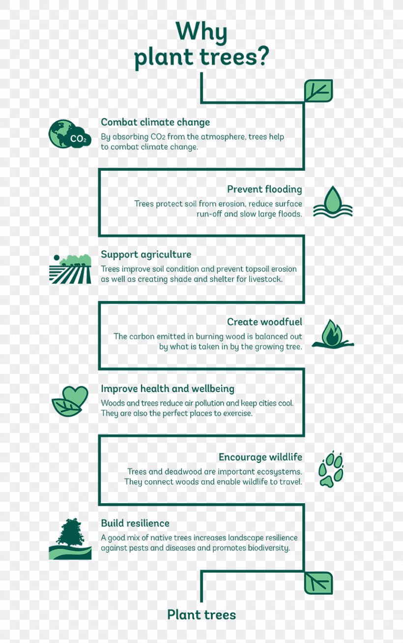 Rotaract Club Of Mississauga Tree Planting Non-profit Organisation Rotary International, PNG, 860x1371px, Tree Planting, Area, Diagram, Forestry, Grass Download Free