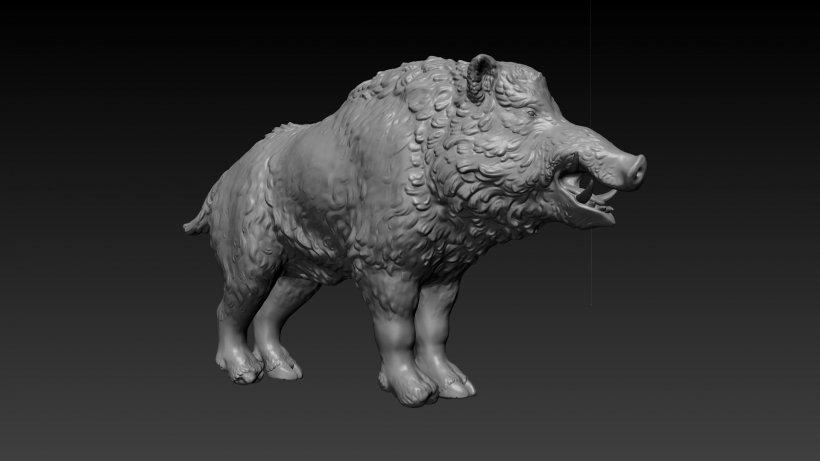Domestic Pig Lion Black And White Monochrome Photography, PNG, 1920x1080px, 3d Modeling, Domestic Pig, Animal, Black And White, Carnivora Download Free