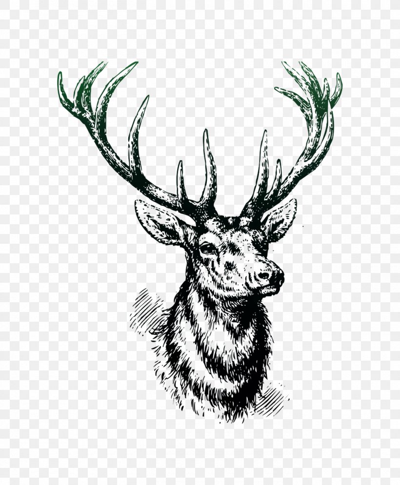 Red Deer Moose Elk Valentine's Day, PNG, 1400x1700px, Deer, Animal, Antler, Blackandwhite, Deer Hunting Download Free