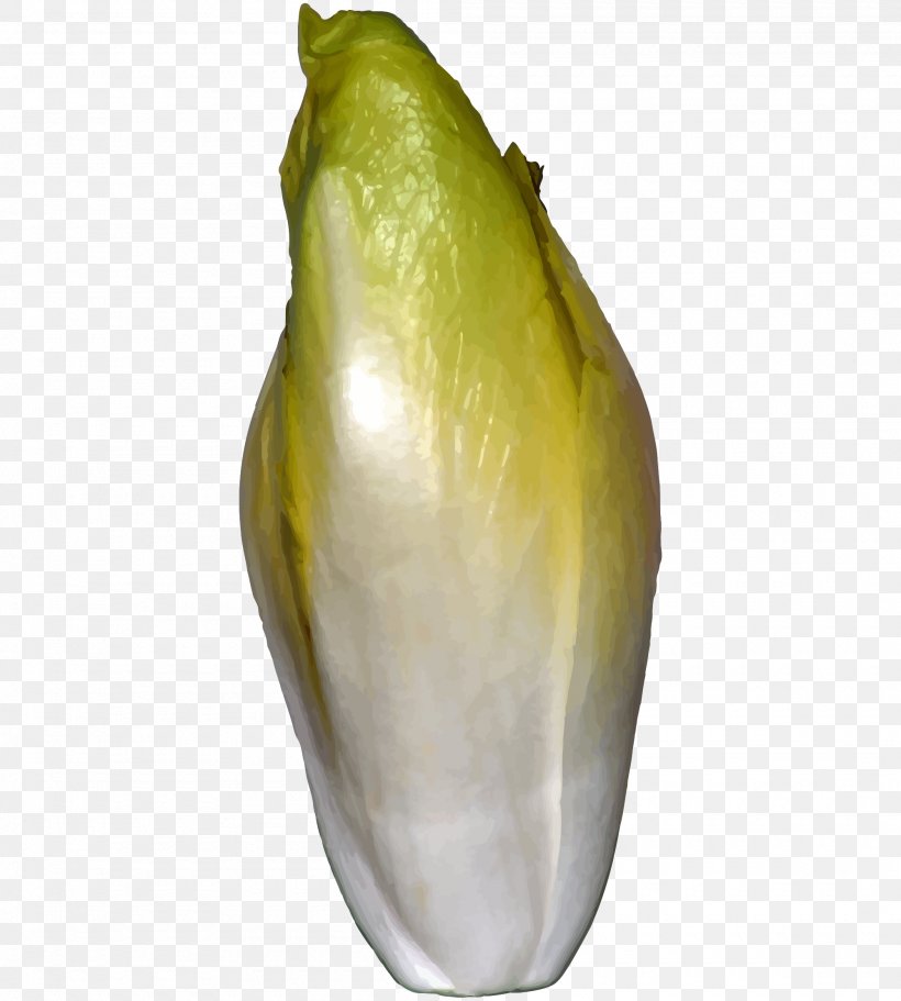 Belgian Cuisine Endive Chicory Vegetable, PNG, 2000x2222px, Belgian Cuisine, Chard, Chicory, Commodity, Curled Endive Download Free