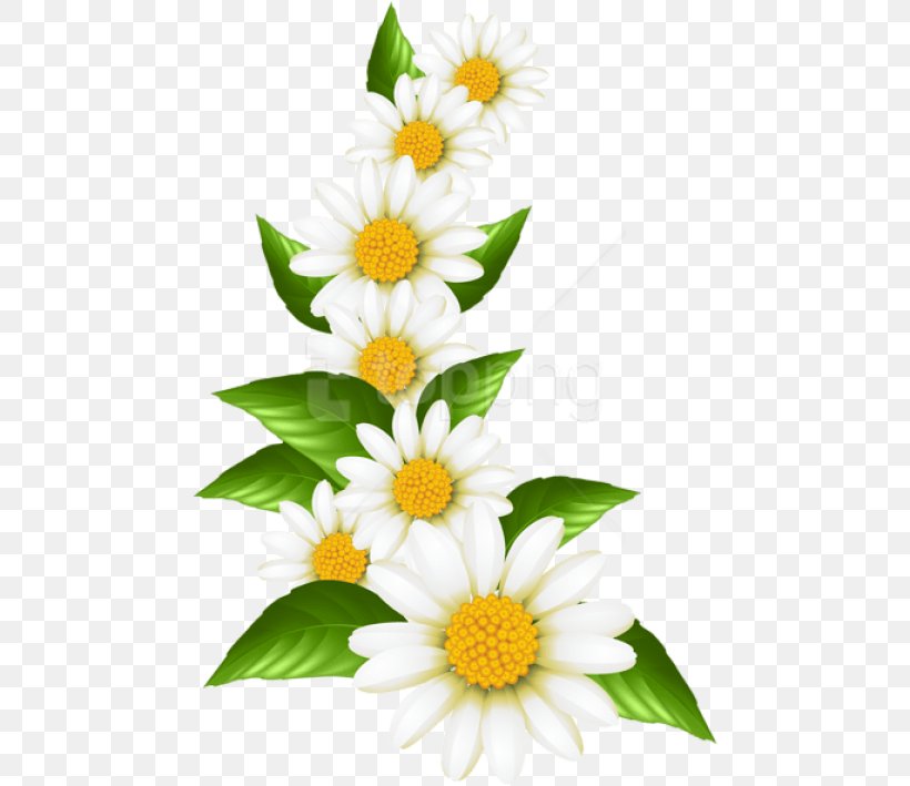 Drawing Of Family, PNG, 475x709px, Common Daisy, Branch, Camomile, Chamomile, Cut Flowers Download Free