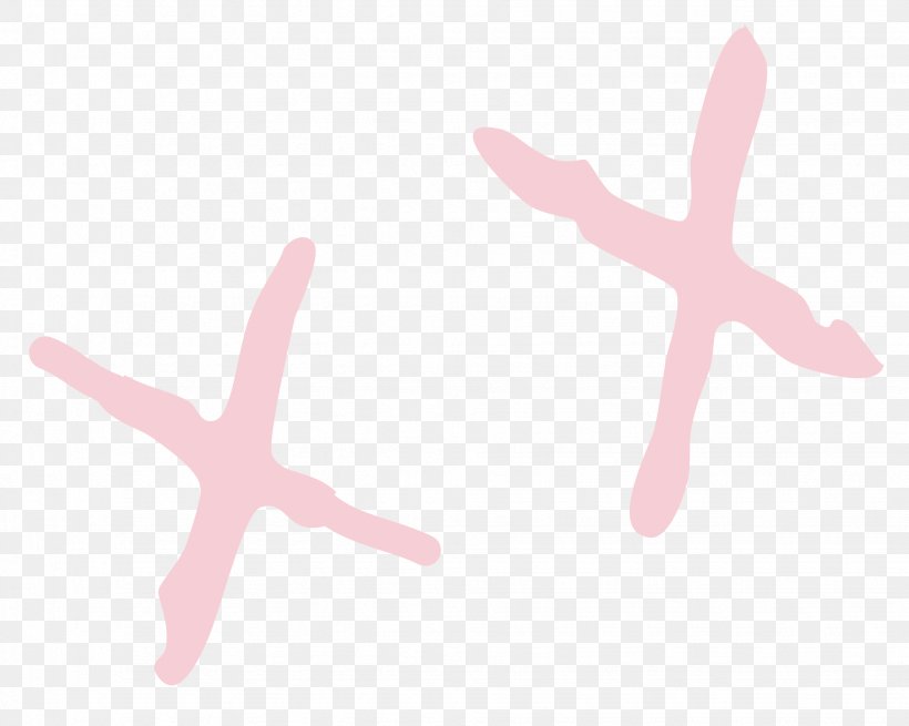 Finger Line Font, PNG, 1952x1560px, Finger, Hand, Pink, Pink M Download Free