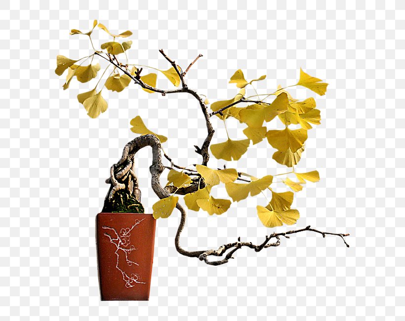 Twig Flowerpot Houseplant Bonsai Plant Stem, PNG, 650x650px, Twig, Bonsai, Branch, Flower, Flowerpot Download Free
