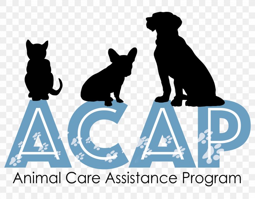 Cat Dog Human Behavior Logo Canidae, PNG, 2899x2265px, Cat, Behavior, Brand, Canidae, Carnivoran Download Free