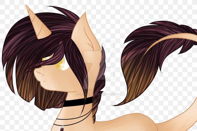 Long Hair Horse Hair Coloring Black Hair, PNG, 1024x683px, Watercolor, Cartoon, Flower, Frame, Heart Download Free