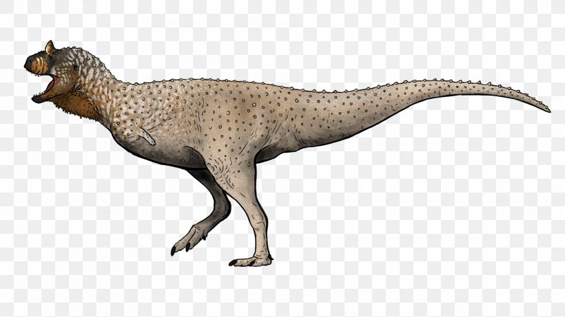 Tyrannosaurus Coelophysis Velociraptor Prehistoric Kingdom Dinosaur, PNG, 1920x1080px, Tyrannosaurus, Animal, Animal Figure, Brachiosaurus, Carnivoran Download Free