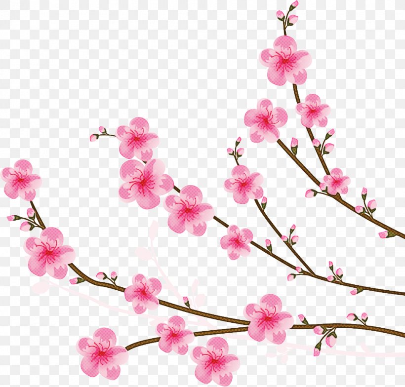 Cherry Blossom Tree, PNG, 970x928px, Cherry Blossom, Blossom, Branch, Cherries, Cut Flowers Download Free