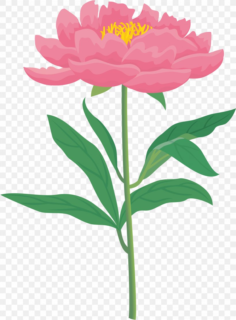 Chinese Peony Rose Clip Art, PNG, 2827x3840px, Peony, Annual Plant, Birth Flower, Chinese Peony, Cut Flowers Download Free