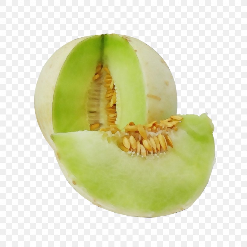 Muskmelon Honeydew Galia Fruit Plant, PNG, 1280x1280px, Watercolor, Cantaloupe, Cucumis, Food, Fruit Download Free