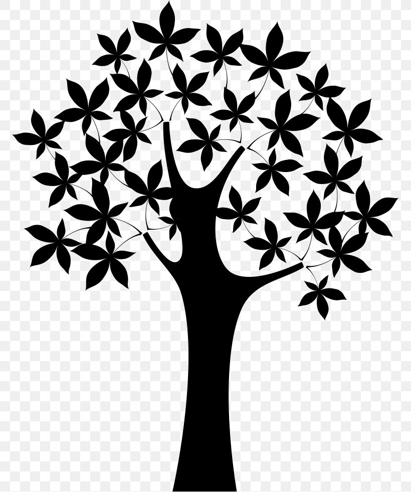 Twig Dreesmann Tree PeekYou Oak, PNG, 772x981px, Twig, Arecaceae, Black And White, Branch, Dreesmann Download Free