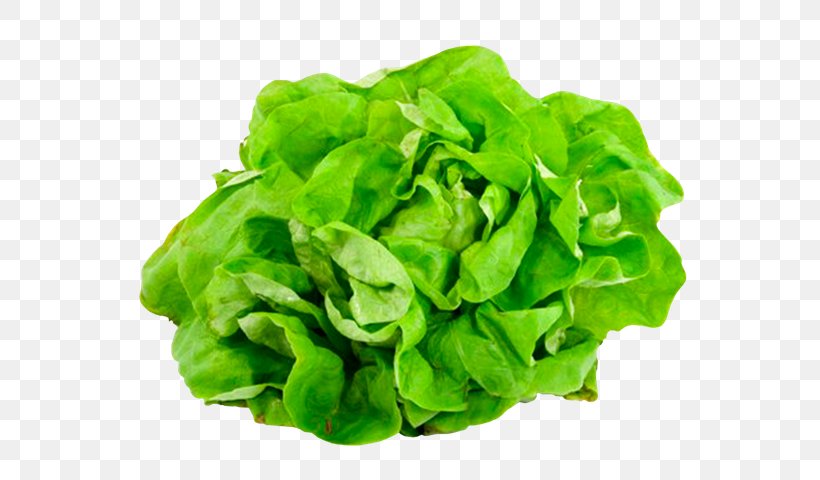 Vegetable Lettuce Mineral Food Vegetarian Cuisine, PNG, 600x480px, Vegetable, Chard, Diet, Food, Fruit Download Free
