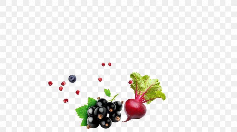 Grape Berries Acai Red Smoothie Diet [aging Mix] Blackcurrant Fruit, PNG, 1686x942px, Grape, Berries, Berry, Blackcurrant, Cranberry Download Free