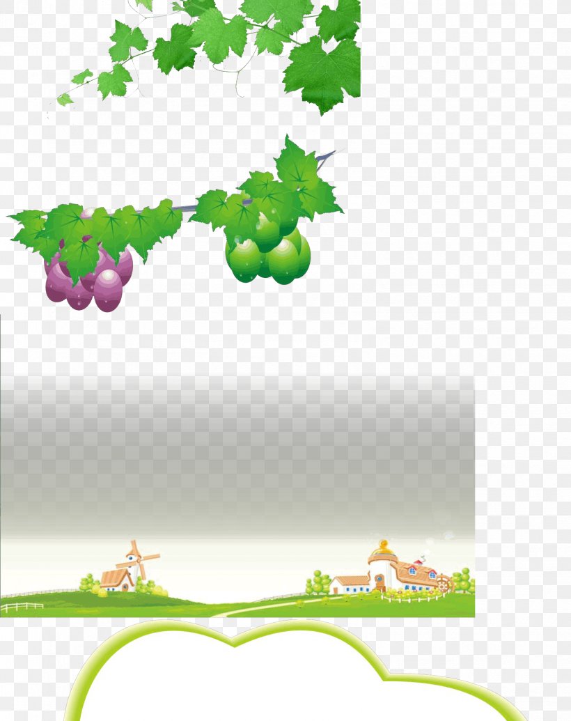 Grape Image Cartoon Clip Art, PNG, 1584x2000px, Grape, Animation, Art, Border, Branch Download Free