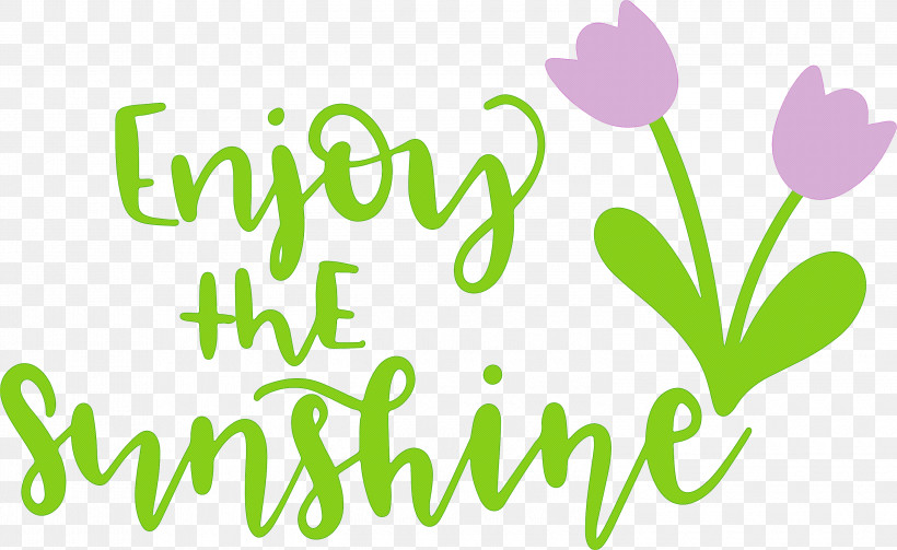 Sunshine Enjoy The Sunshine, PNG, 3000x1842px, Sunshine, Floral Design, Green, Happiness, Leaf Download Free